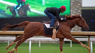 2019 Derby Dosage Analysis 