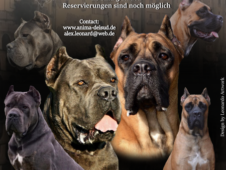 Unser A-Wurf ist da...
