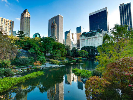 Central Park