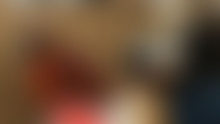   スマナサーラ長老の仏教法話