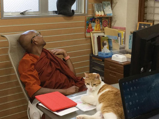 スマナサーラ長老の仏教法話