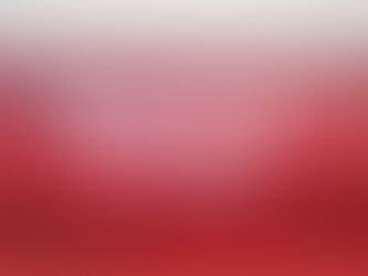 河北省2019年“4.26”世界知识产权日假冒伪劣产品销毁活动