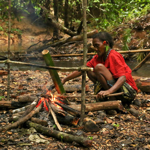 Earth Skills and Human Evolution | The cultured ape