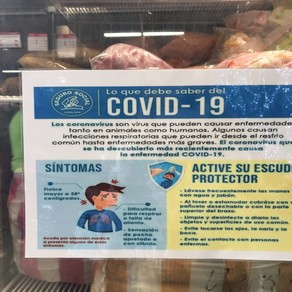 Stay Home - "Quedese En Casa" - Our Life in Costa Rica in the time of Covid19