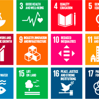 Why Do We Need The 17 UNSDGs?
