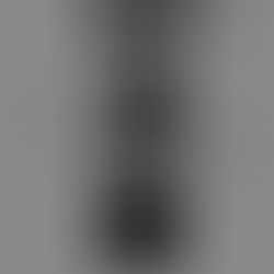 수잔 팔루디 <다크룸> 리뷰 1 / 김효영