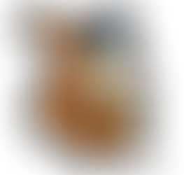 Squirrels Reunion - Postponed