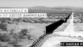 Are We Actually a Nation of Unified Americans?