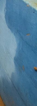 ree