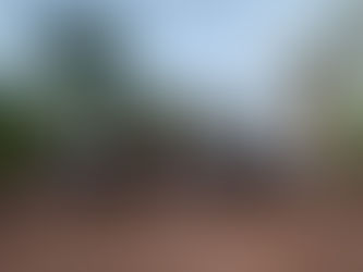 Почетак новог циклуса курсева кинеског језика