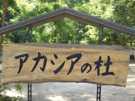 マレットゴルフ、始まりました~!