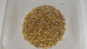 Scrap Gold Recovery from Fiber CPU