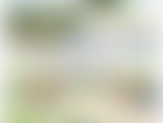 10/29(議員58日目)