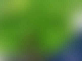 Życzenia dla Maturzystów