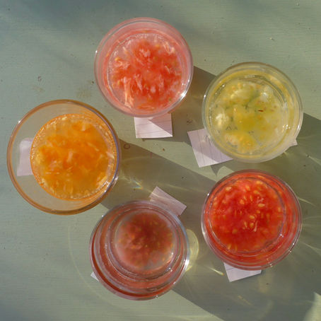 TOMATENZADEN OOGSTEN