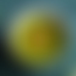 Sveika ir skani trinta brokolių sriuba su graikiniais riešutais (Receptas)