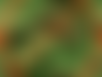 A Quick Tip To Avoid Being Arrested In The Caribbean