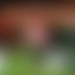 Palmeiras 3, Junior se fue en blanco