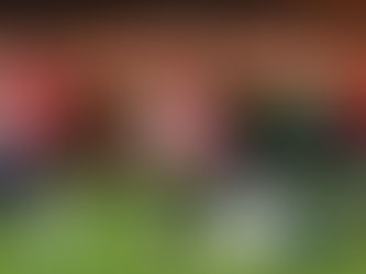 Palmeiras 3, Junior se fue en blanco