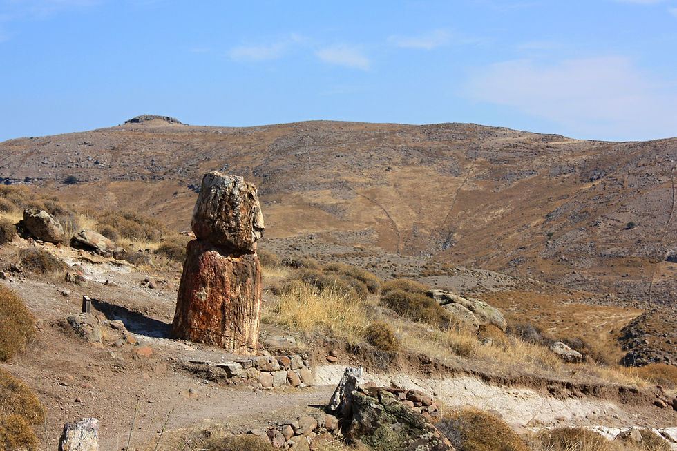 Petrified Forest Lesvos Greece | Shiny Greece