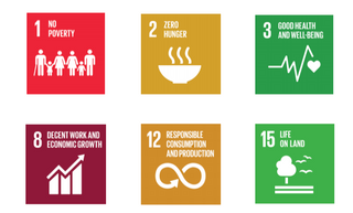 Henkel Solidaridad Partnership