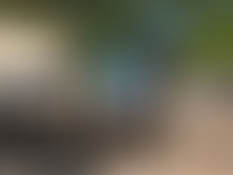 33* Scrooge, Alfie, Blade Runner ...