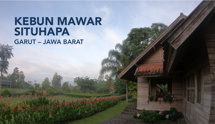 Lokasi Outing Di Garut Kebun Mawar Situhapa