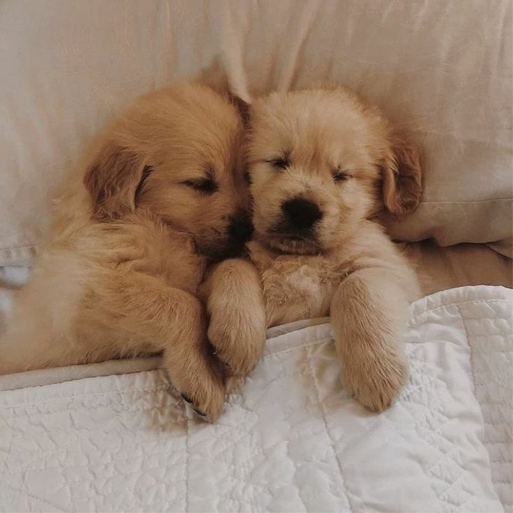 Cuteness Overload!