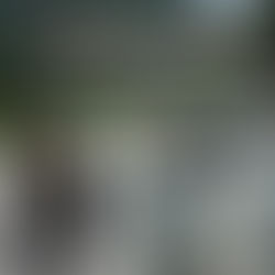 ようやく梅雨明けです!暑い日が続きます(*_*)