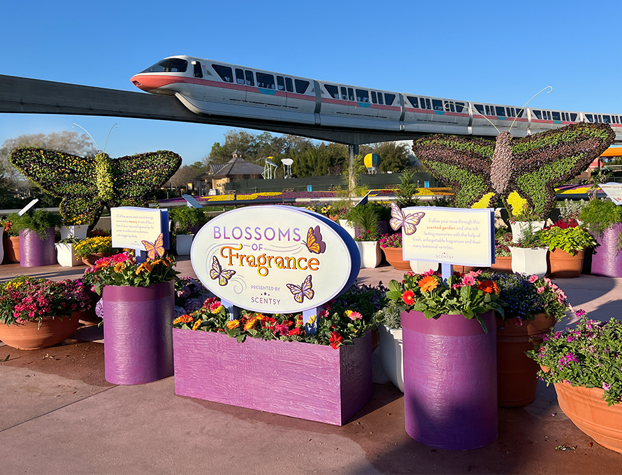Scentsy Garden at Epcot's Flower & Garden Festival! content media
