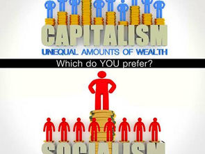 De ce întreprindrile private funcţionează şi cele de stat NU