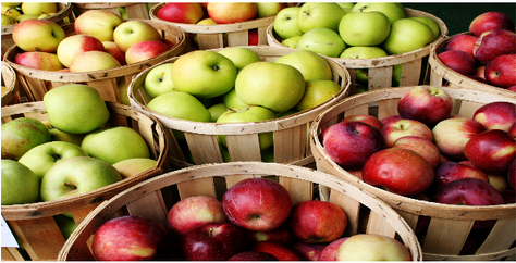 HEALTHY APPLES