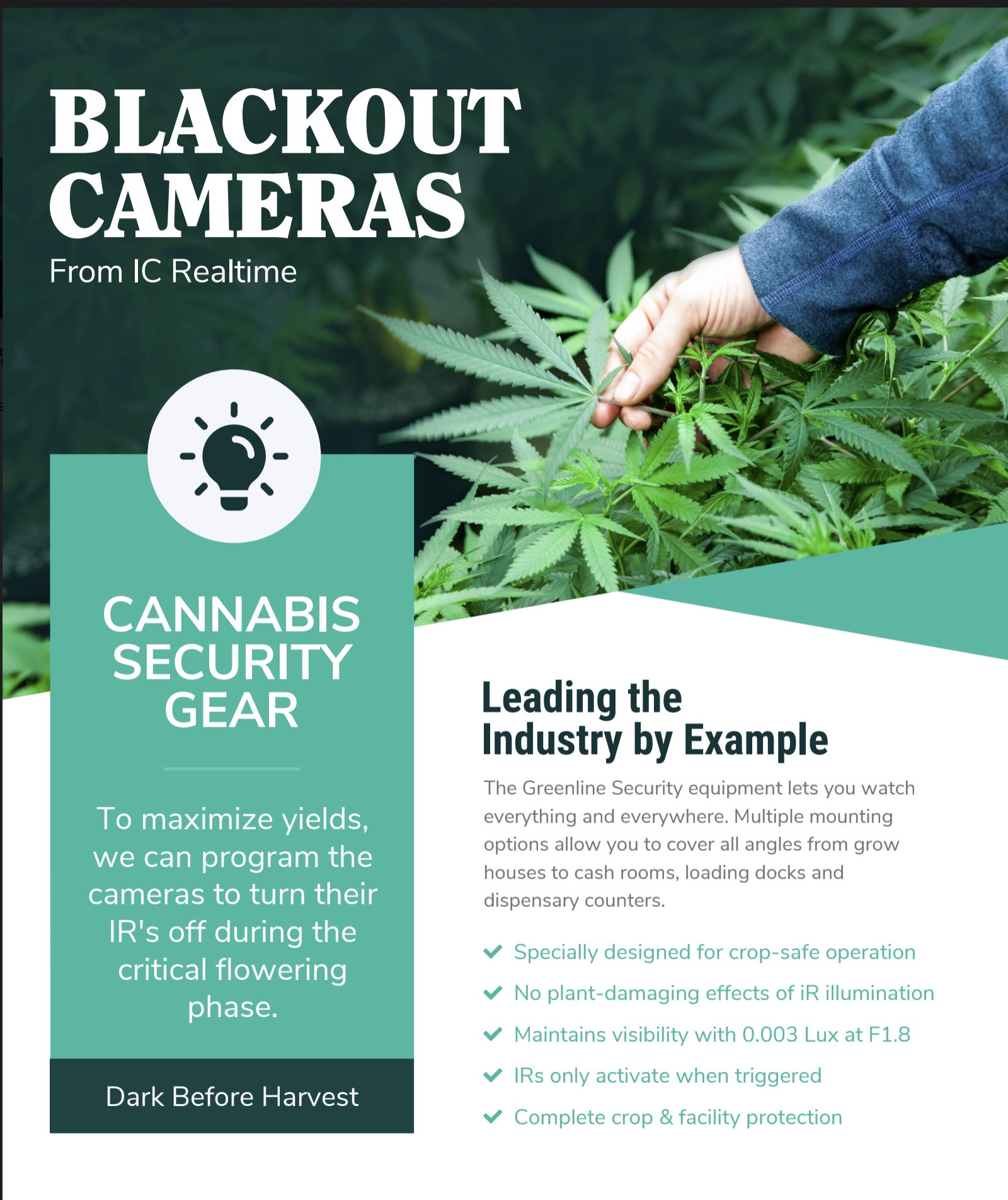 Growing facilities, this is a game changer. content media