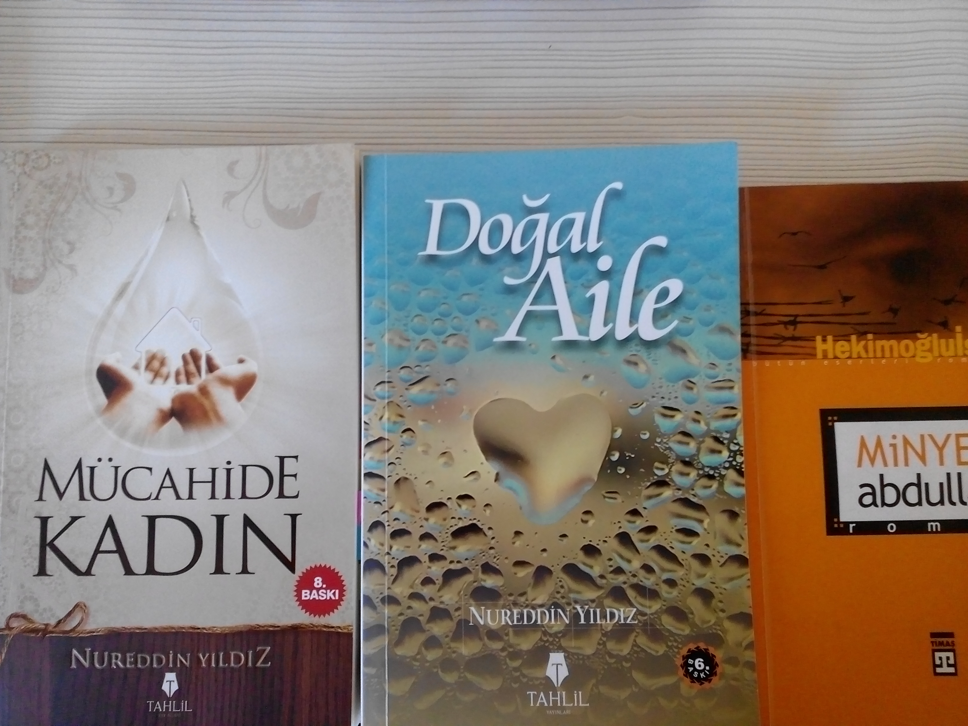 Vereceğim kitaplar:Nurettin Yıldız Mücahide kadın, Doğal aile ve Hekimoğlu İsmail Minyeli Abdullah content media