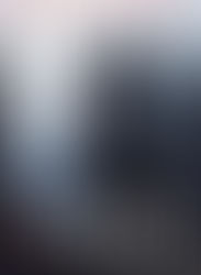 Book Review - The Witches by Peter Curtis