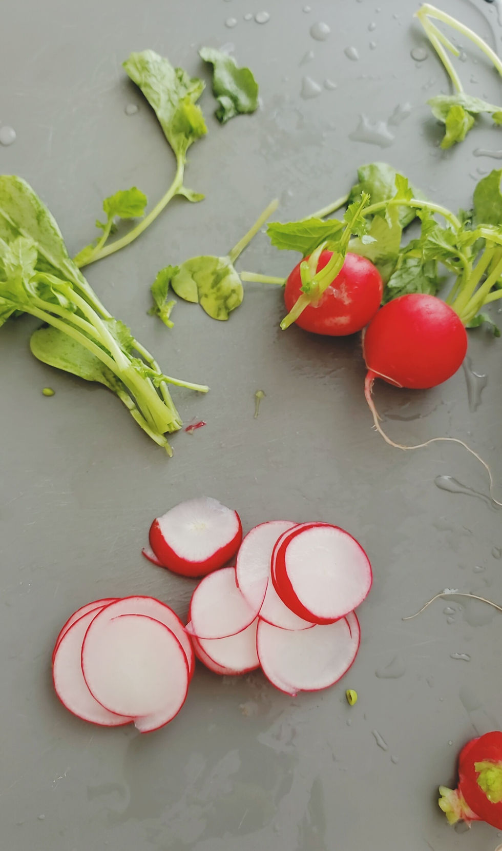 fresh slice red radish