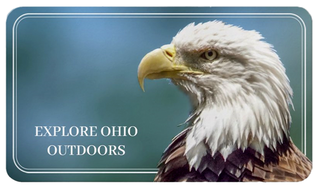 Explore Ohio Outdoors Bald Eagle Photo