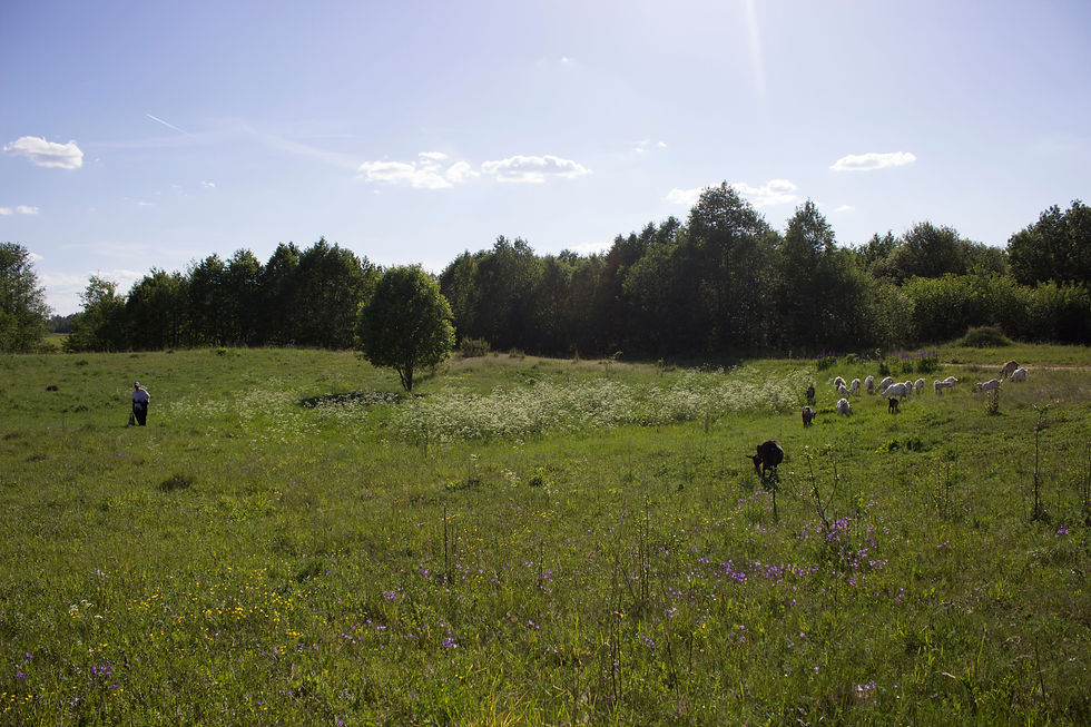 Фоном для съемки станут живописные цветущие луга, лесные поляны или деревенский пейзаж – на ваш выбор.