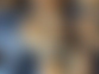 GLUTEN-LITE POPPY SEED BAGELS