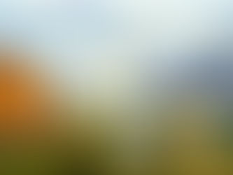 What Is The Connection Between The Sukkah and Noah’s Ark?