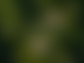 TRUEST EXPRESSION OF YOURSELF: ONE CLIENT’S VIEW