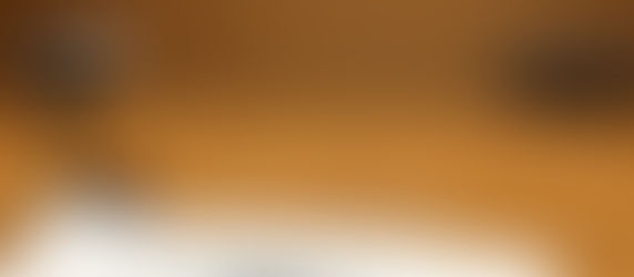 「かなざわ防災リーダー」スキルアップ研修会