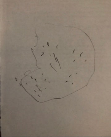 ree