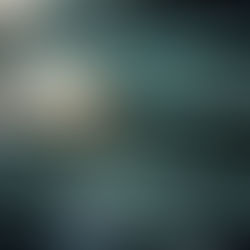 All The Shadows Undone