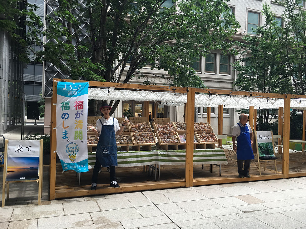 京橋エドグラン”野菜マルシェ“運営協力
