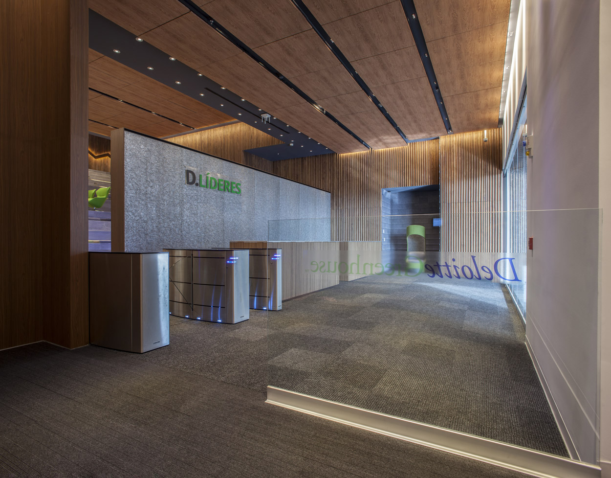 Deloitte Centro de Excelencia content media