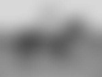 Assault: The Underdog Triple Crown Winner