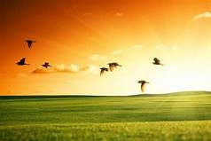 Emotional Independence leads to Happiness