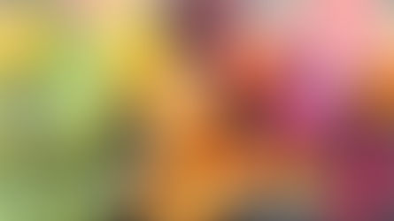 Jak zachovat vitamíny v ovoci a zelenině?