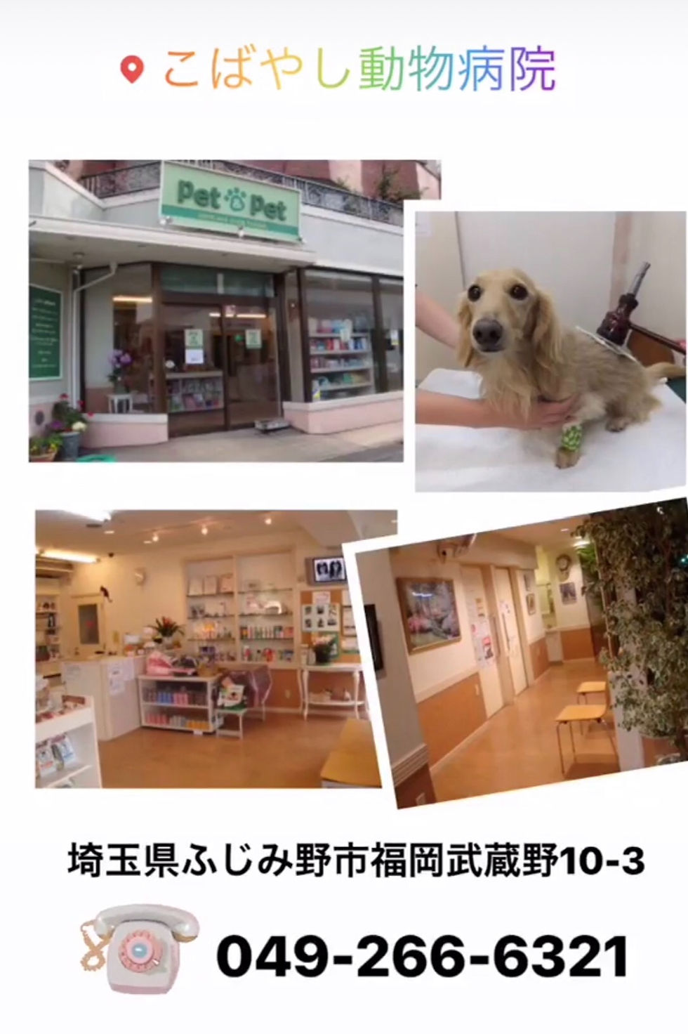 こばやし動物病院
